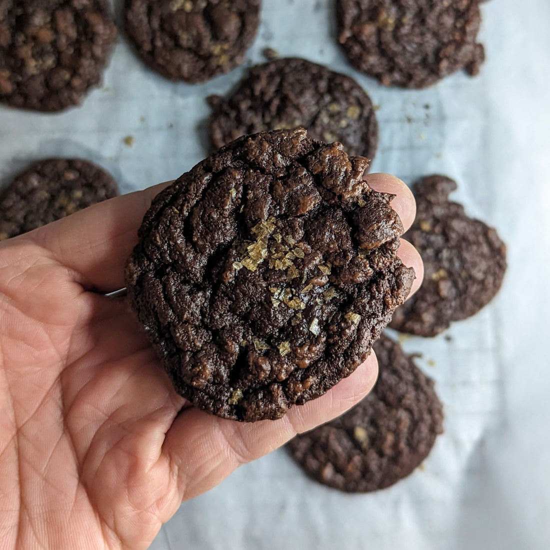 [RECIPE] Salted chocolate rye cookies